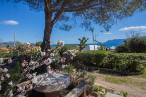 Villa Bados 6 - Klodge Olbia